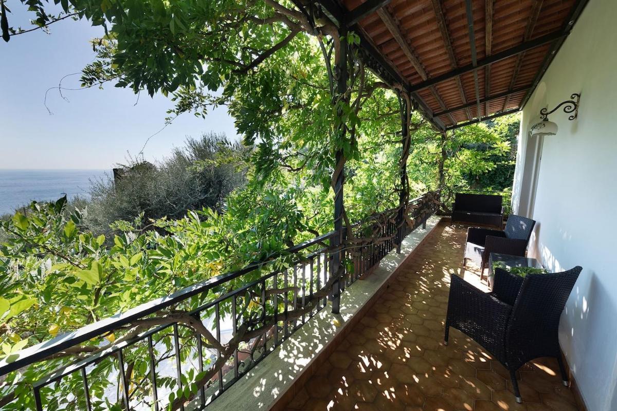 Villa Marinella Close To The Sea With Private Pool Nerano Εξωτερικό φωτογραφία